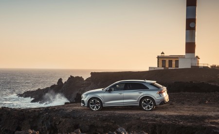 2020 Audi RS Q8 (Color: Florett Silver) Side Wallpapers 450x275 (110)