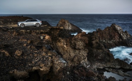 2020 Audi RS Q8 (Color: Florett Silver) Side Wallpapers 450x275 (112)