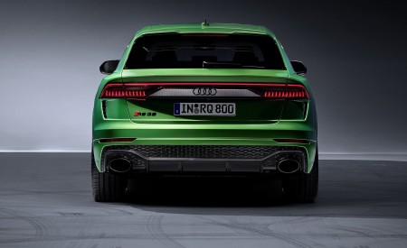 2020 Audi RS Q8 (Color: Java Green) Rear Wallpapers 450x275 (43)