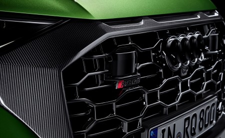 2020 Audi RS Q8 Grill Wallpapers 450x275 (188)