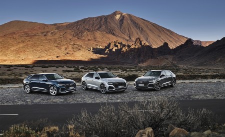 2020 Audi RS Q8 Wallpapers 450x275 (178)