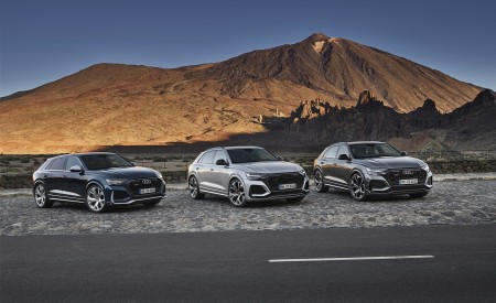 2020 Audi RS Q8 Wallpapers 450x275 (176)