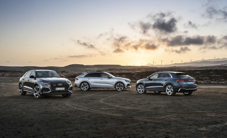 2020 Audi RS Q8 Wallpapers 450x275 (175)