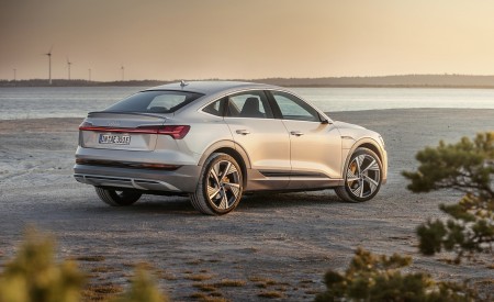 2020 Audi e-tron Sportback (Color: Florett Silver) Rear Three-Quarter Wallpapers 450x275 (71)