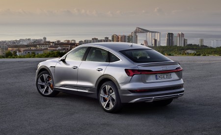 2020 Audi e-tron Sportback (Color: Florett Silver) Rear Wallpapers 450x275 (74)