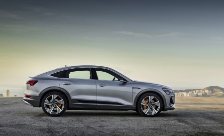 2020 Audi e-tron Sportback (Color: Florett Silver) Side Wallpapers 450x275 (64)