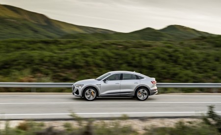 2020 Audi e-tron Sportback (Color: Florett Silver) Side Wallpapers 450x275 (65)
