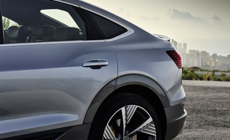 2020 Audi e-tron Sportback Detail Wallpapers 450x275 (75)