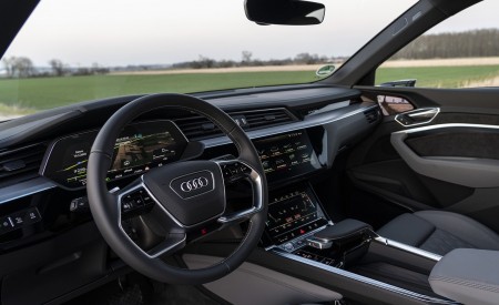 2020 Audi e-tron Sportback Interior Wallpapers 450x275 (14)