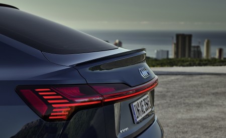 2020 Audi e-tron Sportback Tail Light Wallpapers 450x275 (83)