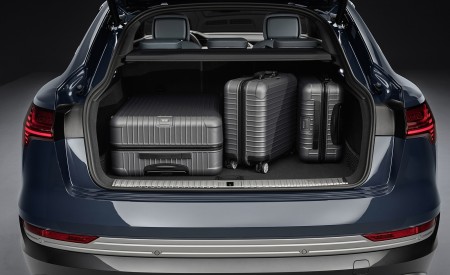 2020 Audi e-tron Sportback Trunk Wallpapers 450x275 (91)