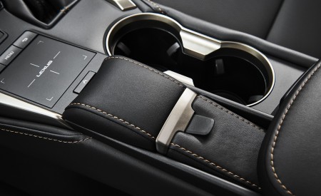 2020 Lexus NX Black Line Special Edition Interior Detail Wallpapers 450x275 (7)