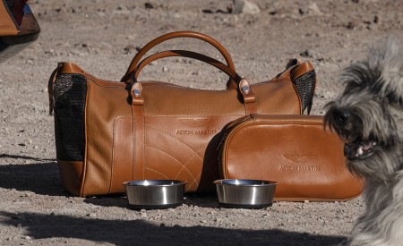 2021 Aston Martin DBX Detail Wallpapers 450x275 (122)