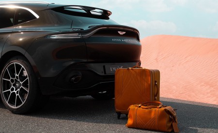 2021 Aston Martin DBX Detail Wallpapers 450x275 (70)