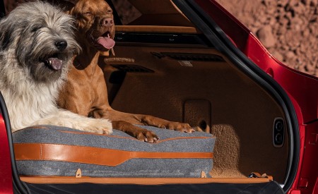 2021 Aston Martin DBX Interior Detail Wallpapers 450x275 (118)