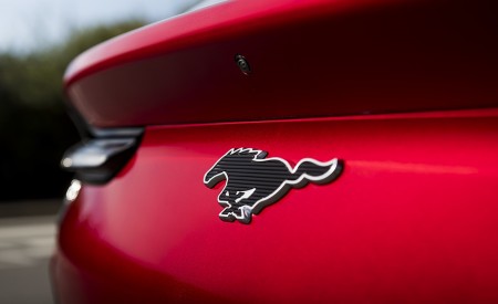 2021 Ford Mustang Mach-E Badge Wallpapers 450x275 (22)