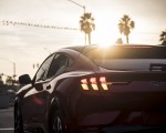 2021 Ford Mustang Mach-E Detail Wallpapers 150x120 (19)