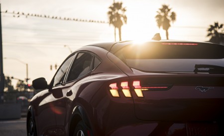 2021 Ford Mustang Mach-E Detail Wallpapers 450x275 (19)