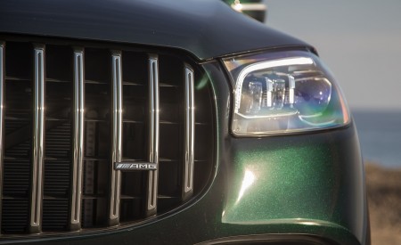2021 Mercedes-AMG GLS 63 (US-Spec) Grill Wallpapers 450x275 (42)