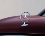 2021 Mercedes-Maybach GLS 600 (Color: Rubellite Red or Obsidian Black) Detail Wallpapers 150x120