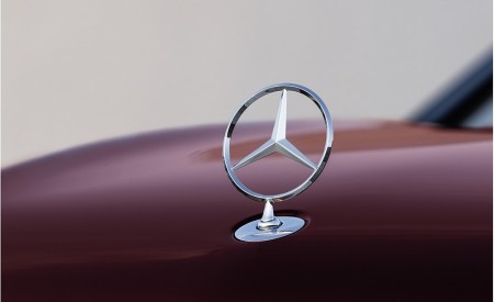 2021 Mercedes-Maybach GLS 600 (Color: Rubellite Red or Obsidian Black) Detail Wallpapers 450x275 (104)