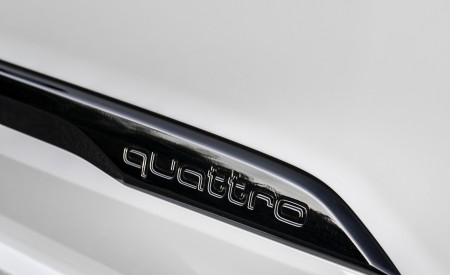 2020 Audi Q7 TFSI e quattro Plug-In Hybrid (Color: Glacier White) Detail Wallpapers 450x275 (35)