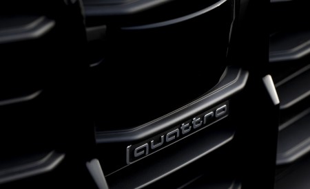 2020 Audi Q7 TFSI e quattro Plug-In Hybrid (Color: Glacier White) Grill Wallpapers 450x275 (29)