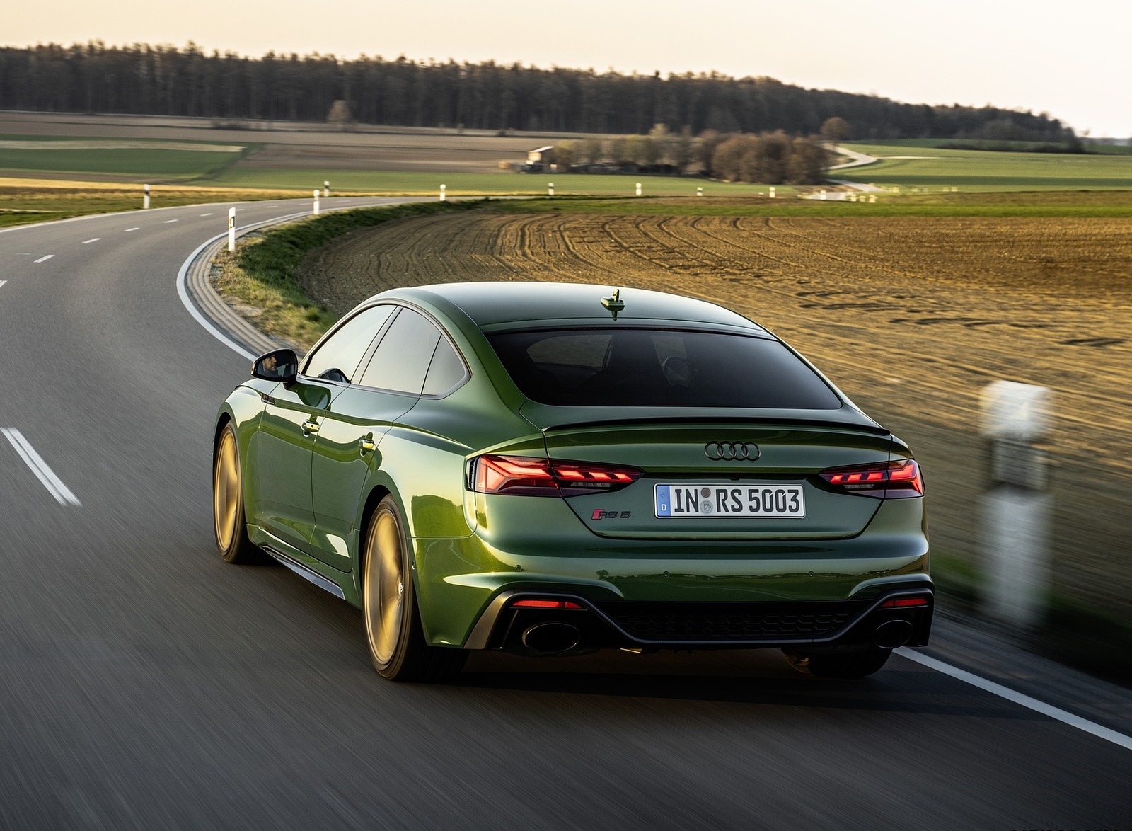 2020 Audi RS 5 Sportback (Color: Sonoma Green) Rear Three-Quarter Wallpapers (8)