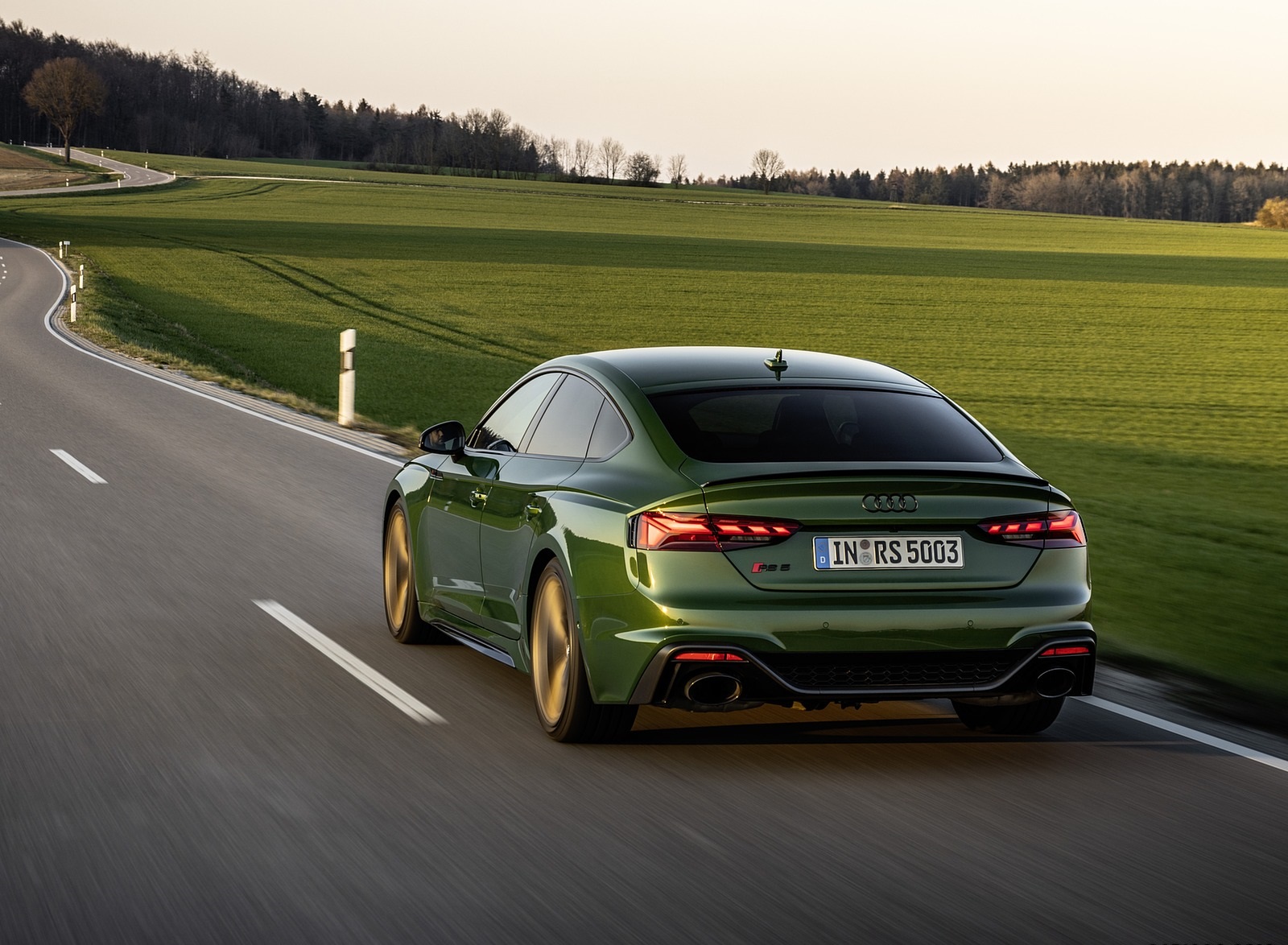 2020 Audi RS 5 Sportback (Color: Sonoma Green) Rear Wallpapers (10)