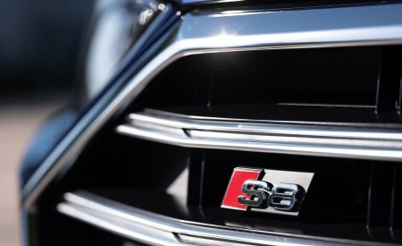 2020 Audi S8 (Color: Navarra Blue) Detail Wallpapers 450x275 (159)