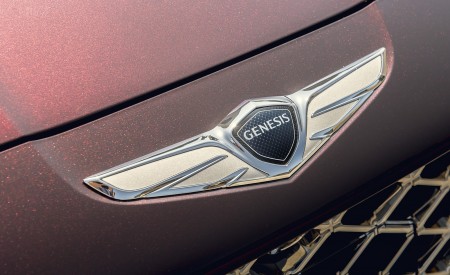 2020 Genesis G90 Badge Wallpapers 450x275 (12)