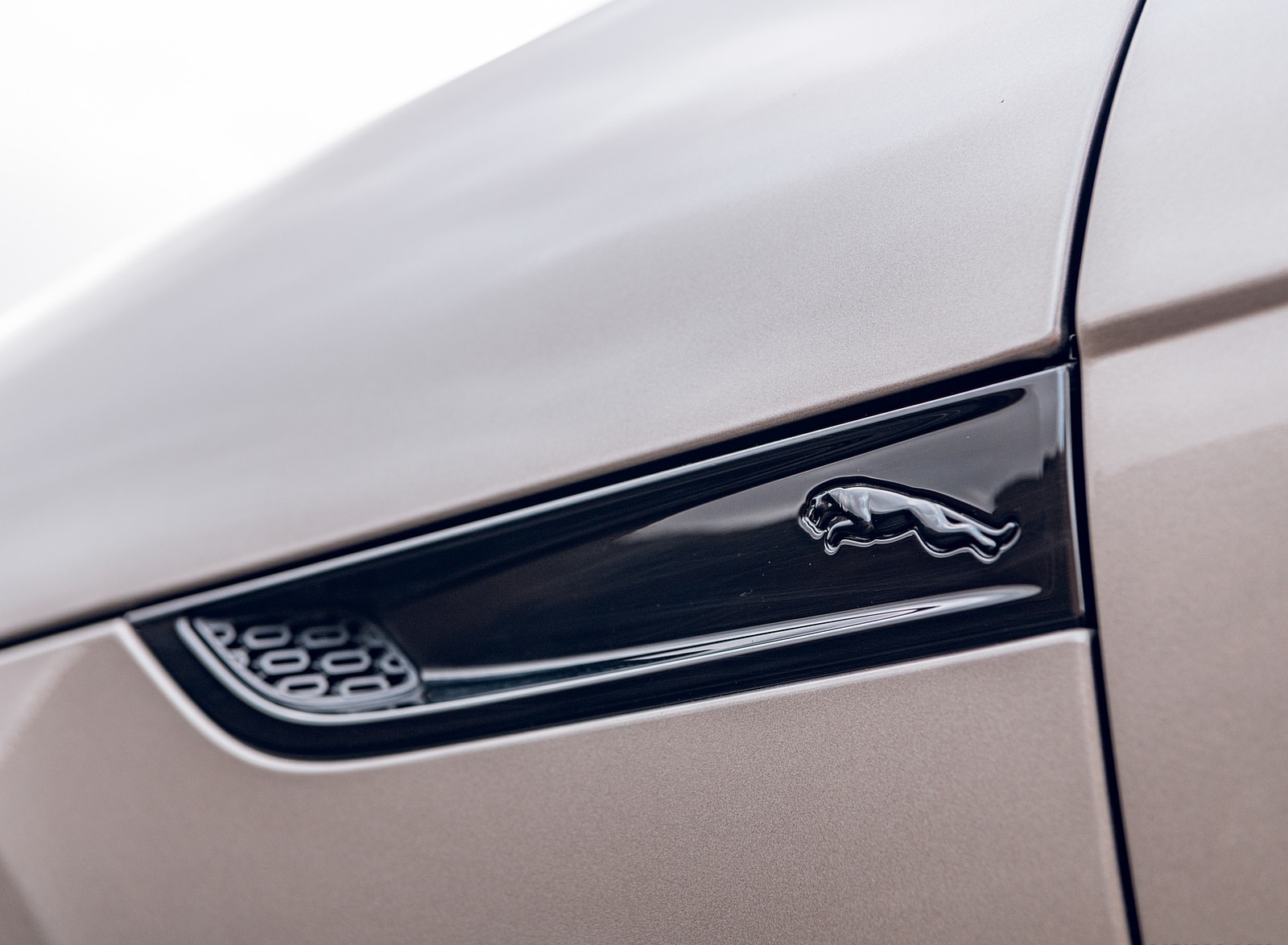 2021 Jaguar F-TYPE Coupe R-Dynamic P450 AWD (Color: Eiger Grey) Detail Wallpapers #17 of 143