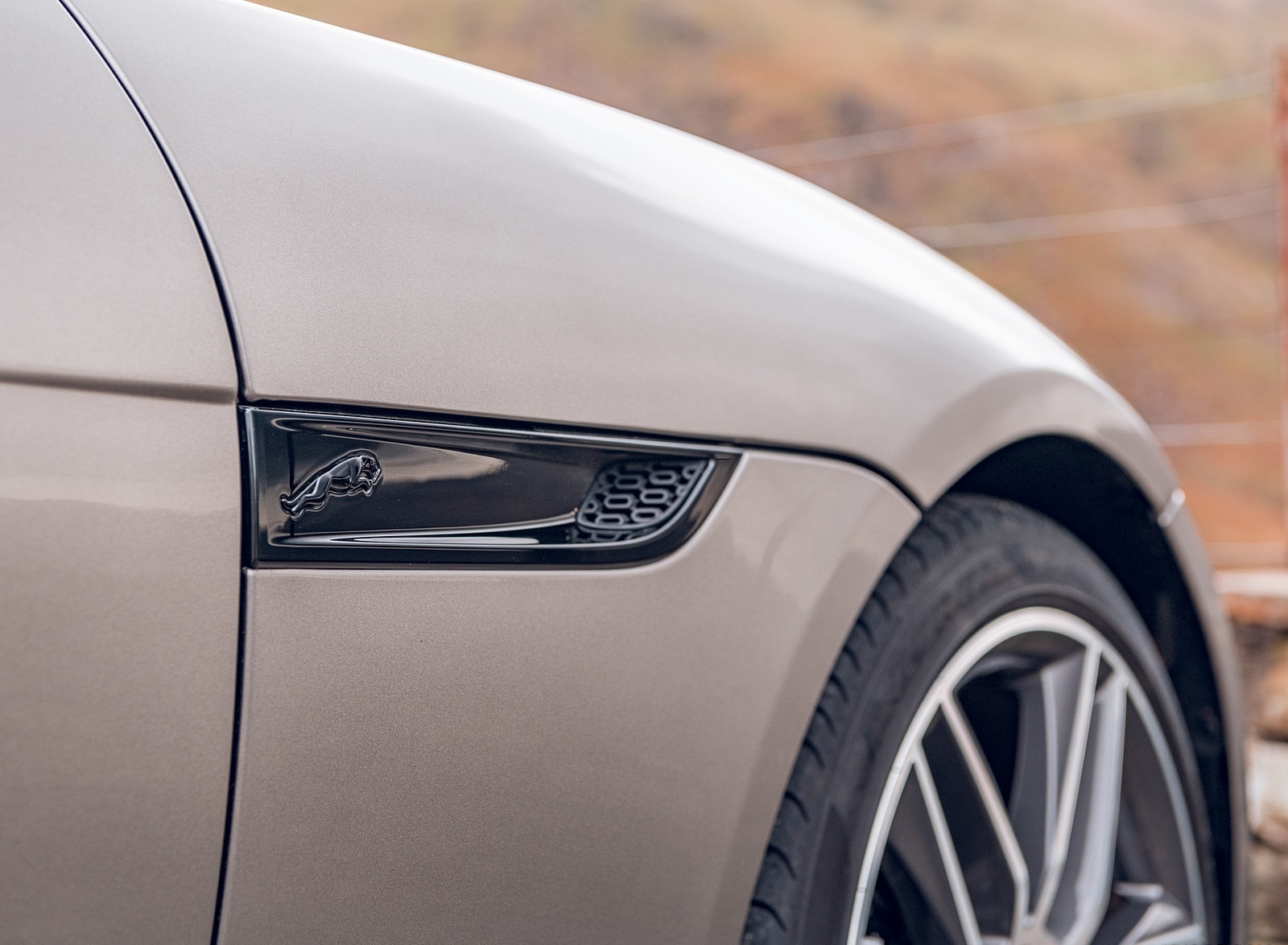 2021 Jaguar F-TYPE Coupe R-Dynamic P450 AWD (Color: Eiger Grey) Detail Wallpapers #18 of 143