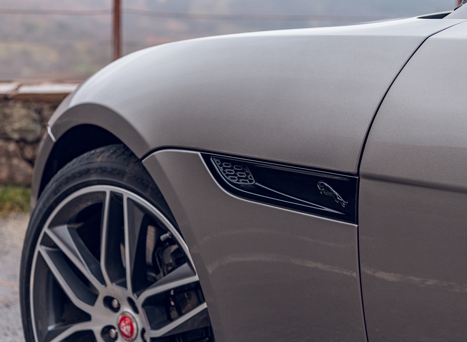 2021 Jaguar F-TYPE Coupe R-Dynamic P450 AWD (Color: Eiger Grey) Detail Wallpapers #19 of 143