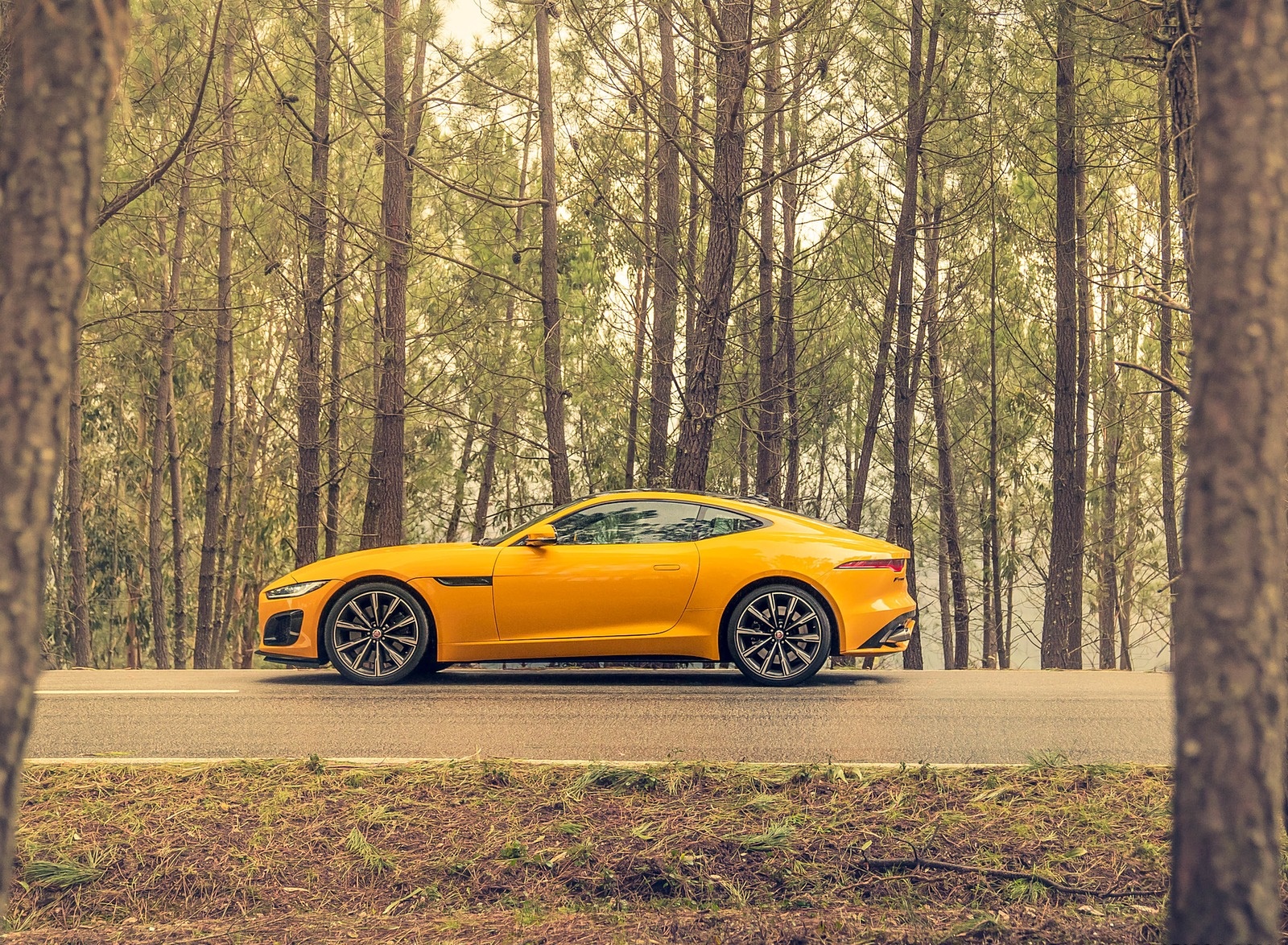 2021 Jaguar F-TYPE R Coupe AWD (Color: Sorrento Yellow) Side Wallpapers #87 of 143