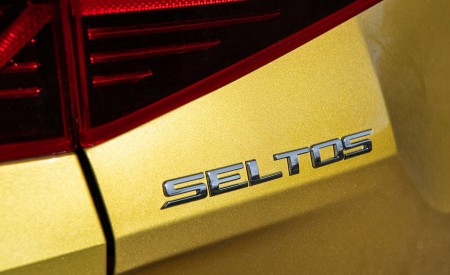 2021 Kia Seltos Badge Wallpapers 450x275 (18)