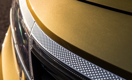 2021 Kia Seltos Detail Wallpapers 450x275 (59)