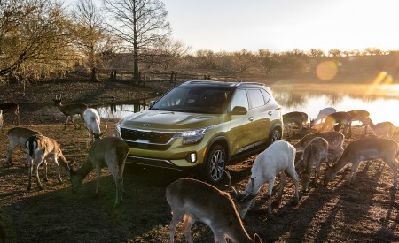 2021 Kia Seltos Front Three-Quarter Wallpapers 450x275 (9)