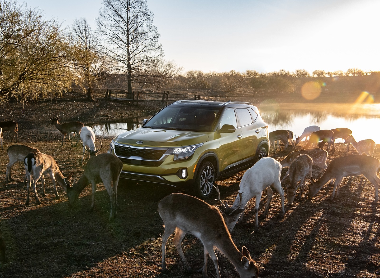 2021 Kia Seltos Front Three-Quarter Wallpapers (9)