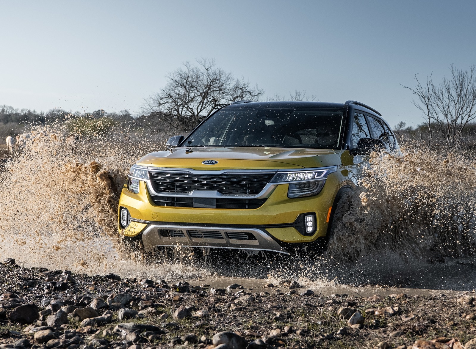 2021 Kia Seltos Off-Road Wallpapers (10)