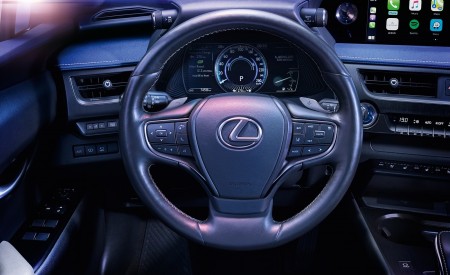 2021 Lexus UX 300e EV (EU-Spec) Interior Detail Wallpapers 450x275 (18)