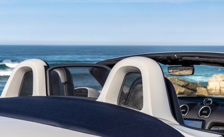 2020 Porsche 718 Boxster GTS 4.0 (Color: Crayon) Detail Wallpapers 450x275 (173)