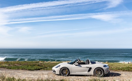 2020 Porsche 718 Boxster GTS 4.0 (Color: Crayon) Side Wallpapers 450x275 (167)