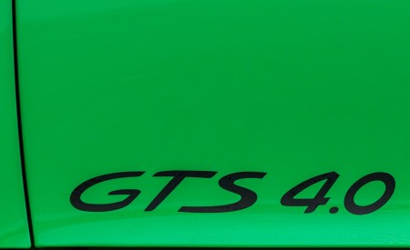 2020 Porsche 718 Boxster GTS 4.0 (Color: Phyton Green) Detail Wallpapers 450x275 (41)