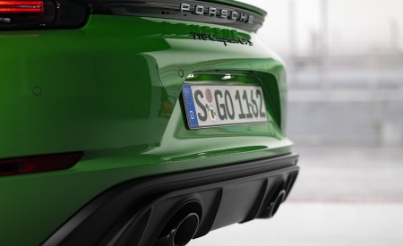 2020 Porsche 718 Cayman GTS 4.0 (Color: Phyton Green) Detail Wallpapers 450x275 (118)