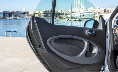 2020 Smart EQ ForTwo Coupe Prime Line (Color: Cool Silver) Detail Wallpapers 450x275 (18)