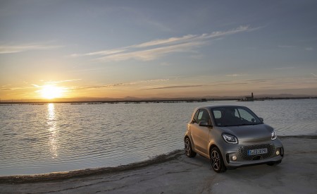 2020 Smart EQ ForTwo Coupe Pulse Line (Color: Gold Beige) Front Three-Quarter Wallpapers 450x275 (70)