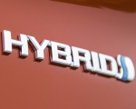2020 Toyota C-HR Hybrid (Euro-Spec) Badge Wallpapers 150x120