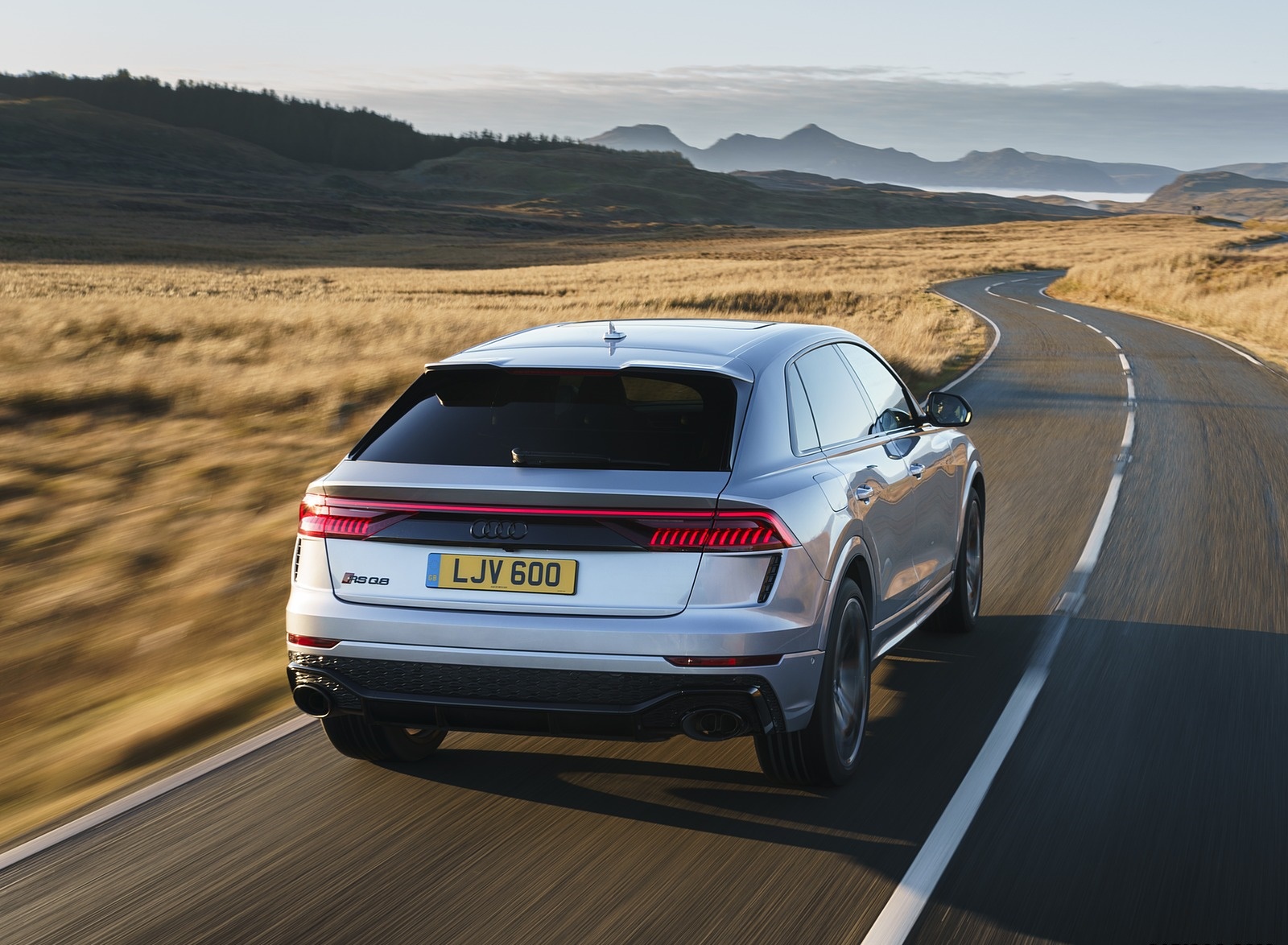 2020 Audi RS Q8 (UK-Spec) Rear Wallpapers (10)