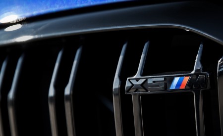2020 BMW X5 M Competition (Color: Tanzanit Blue Metallic; US-Spec) Grill Wallpapers 450x275 (75)